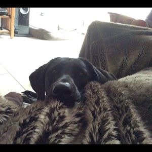 Meet your Posher, Amber